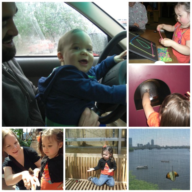 Boston museum collage 2