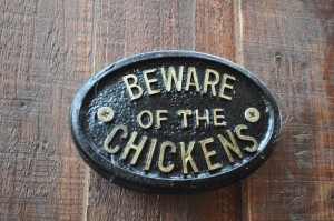 beware the chickens