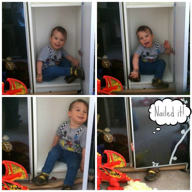 Oren in bookcase collage 2